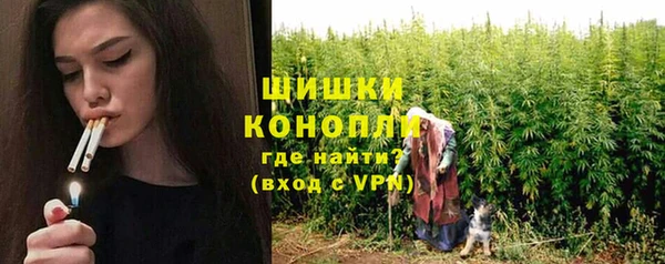 ГАЛЛЮЦИНОГЕННЫЕ ГРИБЫ Белоозёрский
