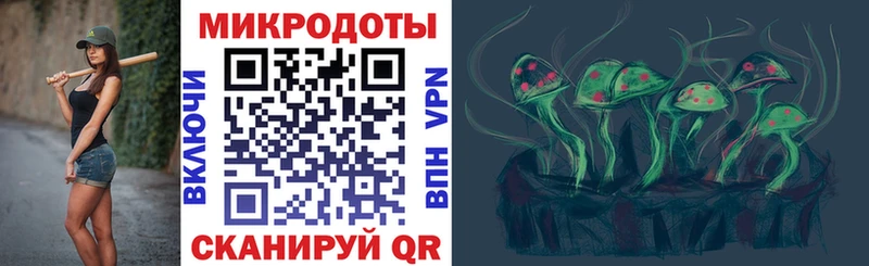 Псилоцибиновые грибы Psilocybine cubensis  Великие Луки 